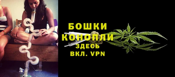 гидра Медногорск