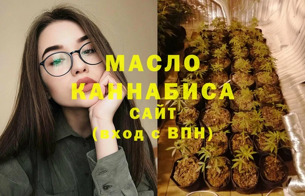 гидра Медногорск