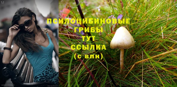 PSILOCYBIN Мегион