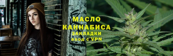 гидра Медногорск
