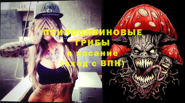 твердый Медвежьегорск