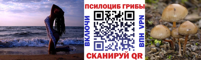 наркотики  Скопин  Псилоцибиновые грибы прущие грибы 